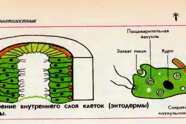 Кракен 2krnk