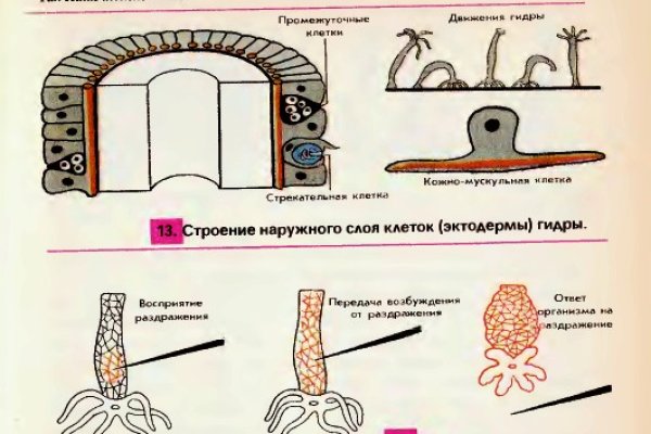 Кракен торговая kr2web in